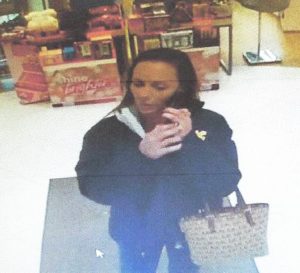 Granville police seeking help identifying alleged vandal